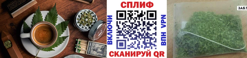 как найти   Правдинск  Cannafood конопля 