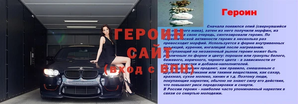 СК Новодвинск