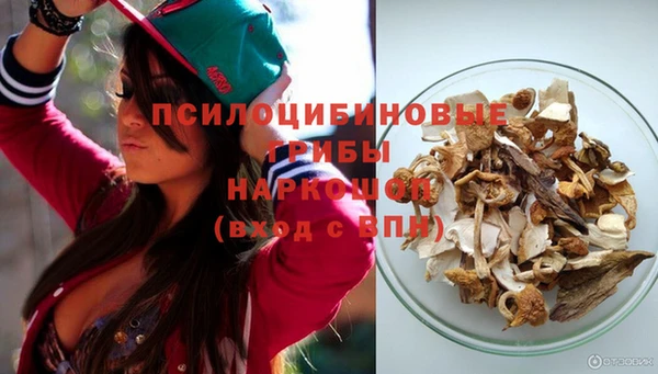 синтетический гашиш Няндома