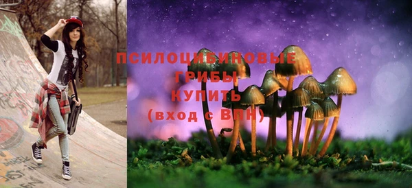 синтетический гашиш Няндома