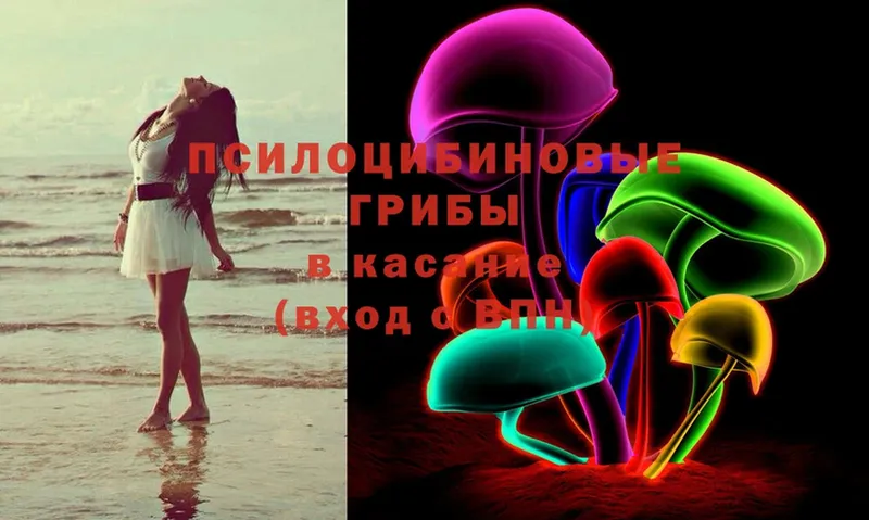 Псилоцибиновые грибы MAGIC MUSHROOMS  OMG tor  Правдинск 